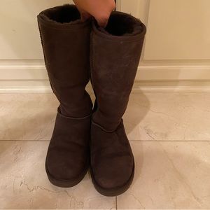 LAST CHANCE Ugg Classic Tall Boot